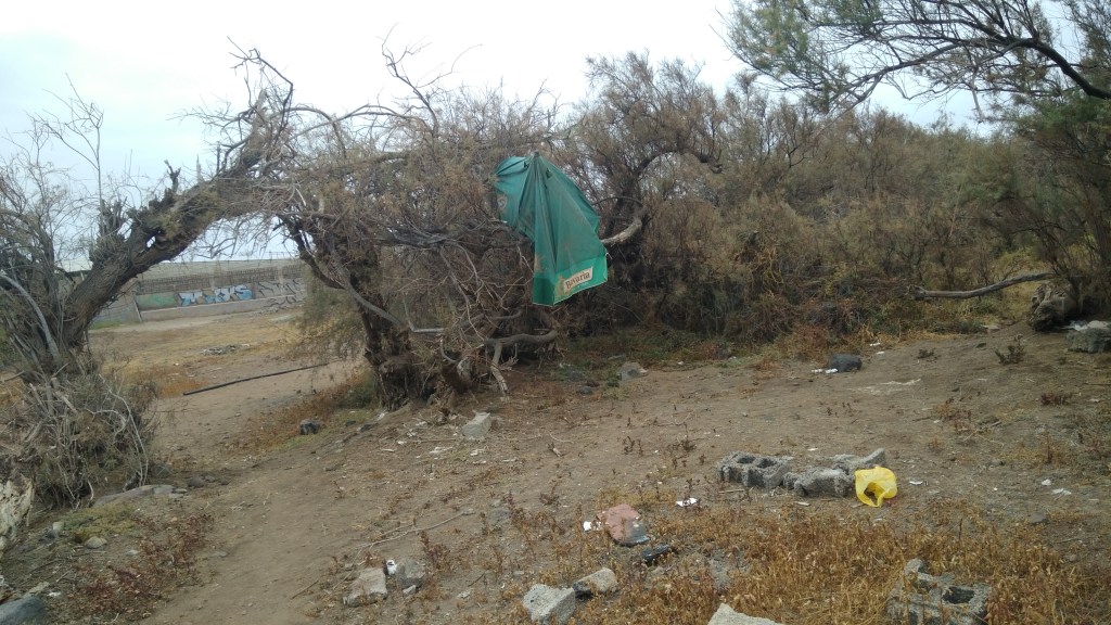 Autor:Antonio Tárraga